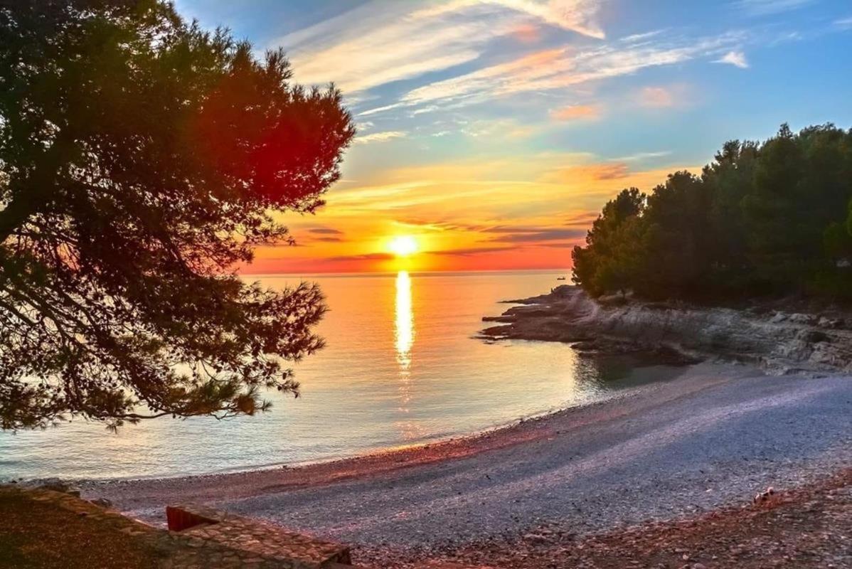 Studio Dama Blizina Amfiteatra I Bus Kolodvora ,Besplatan Privatni Parking,Self-Check- In Pula Exterior foto